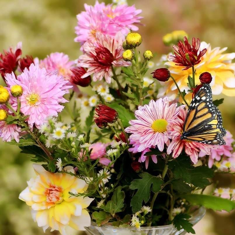 Butterfly & Hummingbird Garden Roll Out Flower Seed Mat